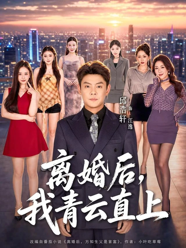 离婚后，我青云直上作品封面